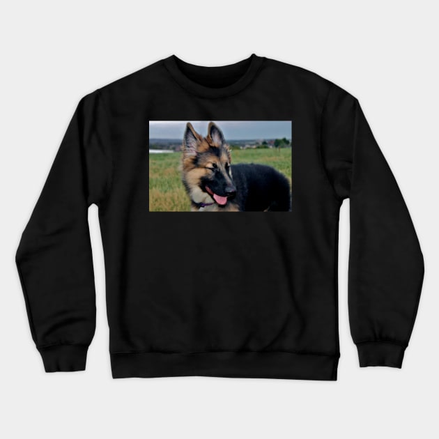 Giggly Gibson Crewneck Sweatshirt by Ladymoose